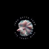 Betta Guppy Molly🐟