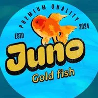 JUNO GOLDFISH
