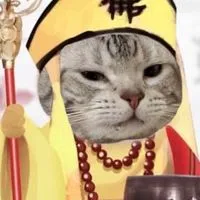 สายรหัสศิลป์จีน 68 !🪭