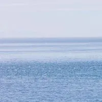 JOB - KEX x AP ONE ศรีราชา