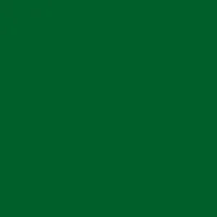 BM Team green💚