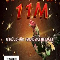 สาน้อย11M