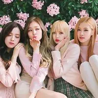 BLACKPINK BLINKS