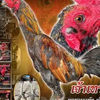 ซุ้มกำไลหยก ขอนแก่น