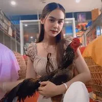บ้านฟ้าไก่ชน ฟาร์ม