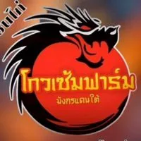 สนามกีฬาไก่ชนโกวเซ้มฟาร์ม🐉