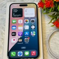 iPhone