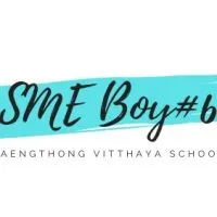 3/8-9 SME boy#6 online class