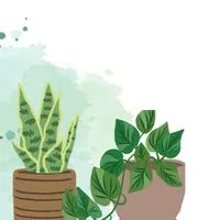 🌴ต้นไม้-พืชผัก-สมุนไพร🌿