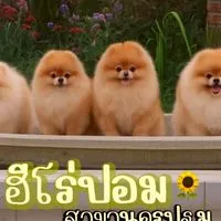 บ้านสวนฟาร์มนครปฐม