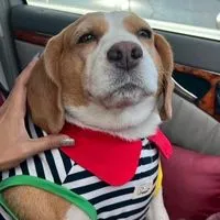 พี่เลี้ยงออนไลน์ของ Mootoo & Metoo