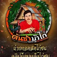 ข่าวสารไก่ชนคนบ้าไก่