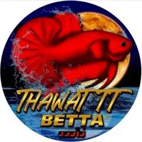 Thawat Betta V.1🏆🥇