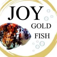 Joy goldfish