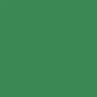 สีเขียวอนุบาลสตูลเกมส์ ผู้ปกครอง 🌲