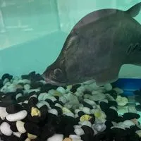 กลุ่มคุยเล่น🤑🤑🤑เล่นเกม