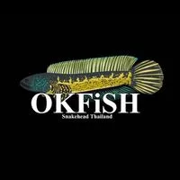 OKFish Smart Tank คนเลี้ยงปลาต้องรู้!