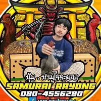 🇯🇵ซามูไรบ้านสวน(ตีเชิง)🇯🇵
