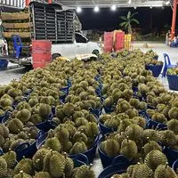 แผงภาทรัพย์ ชุมพร