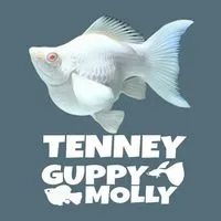 Tenney Guppy Molly