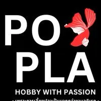 Popla Betta(ปอปลา) จำหนายปลากัดและรับจัดหาปลาสวยงาม