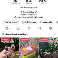 Kowsomz exotic ชูก้านนทบุรี