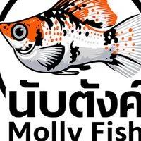 นับตังค์MollyFishFarm🐠