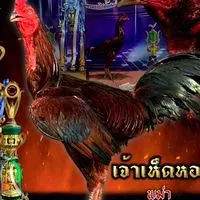 ซุ้ม  รัฐพลฟาร์ม เพชรบุรี🐓💯