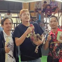 ไก่ชนบ้าน RK ศ.โพธิ์ทอง