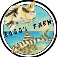 Boss’s MOLLY FARM