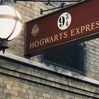 Harry Potter — [ official character / oc ]