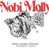 Nobi Molly