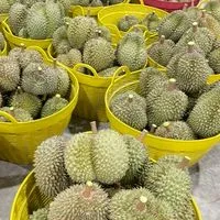 ฟาร์ม เฟรช ฟรุ๊ตส์(ทุเรียนคัดเกรดส่งออก)