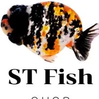 ST Fish Farm ปลาสวยงาม