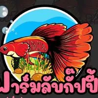 ปลาหางนกยูงสวยๆ (พูดคุย แลกเปลี่ยนปลา)