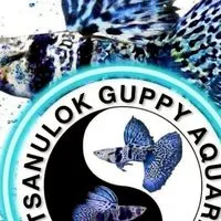 Phitsanulok Guppy Aquarium