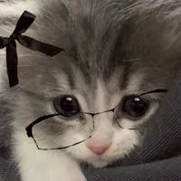 ˚₊·͟͟͟͟͟͟͞͞͞͞͞͞➳❥⌨✰โรงเรียนอิโยมิ(イヤミ) ೃ࿔₊•