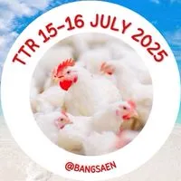 TTR 15-16 July 2025