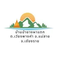 ข่าวสาร บ้านป่ายางผาแตก
