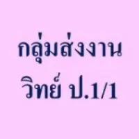 กลุ่มส่งงาน  วิทย์   ป.1/1
