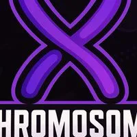 Chromosome XY