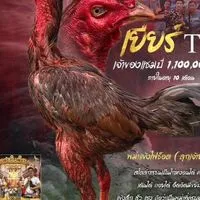 ทีเคฟาร์มอุบล กลุ่ม5