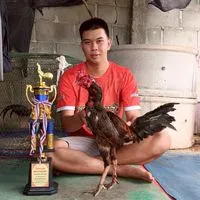ดรีม ไก่ชน
