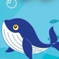 Whale Swimming