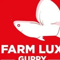 Farmlux.Molly ❤️🐠