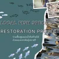 Local fish species restoration project
