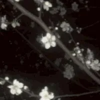 𝚁𝚘𝚖𝚊𝚗𝚝𝚑𝚊𝚞𝚜 𝙰𝚌𝚊𝚍𝚎𝚖𝚢                 ((บอท / เมจ))
