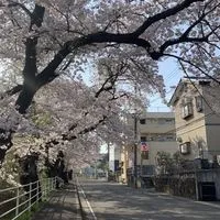 ׂ   ⠀Cliro⠀𓈒  ♡ִCity .  ( เมืองบอท )