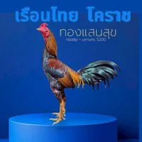 เรือนไทยโคราช 4