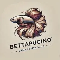 Betta Pucino